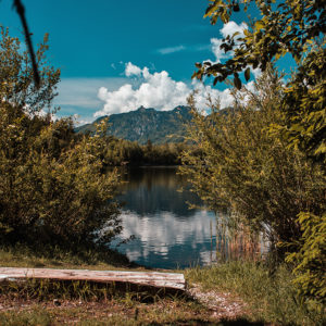 neuer Moosbergsee Murnau