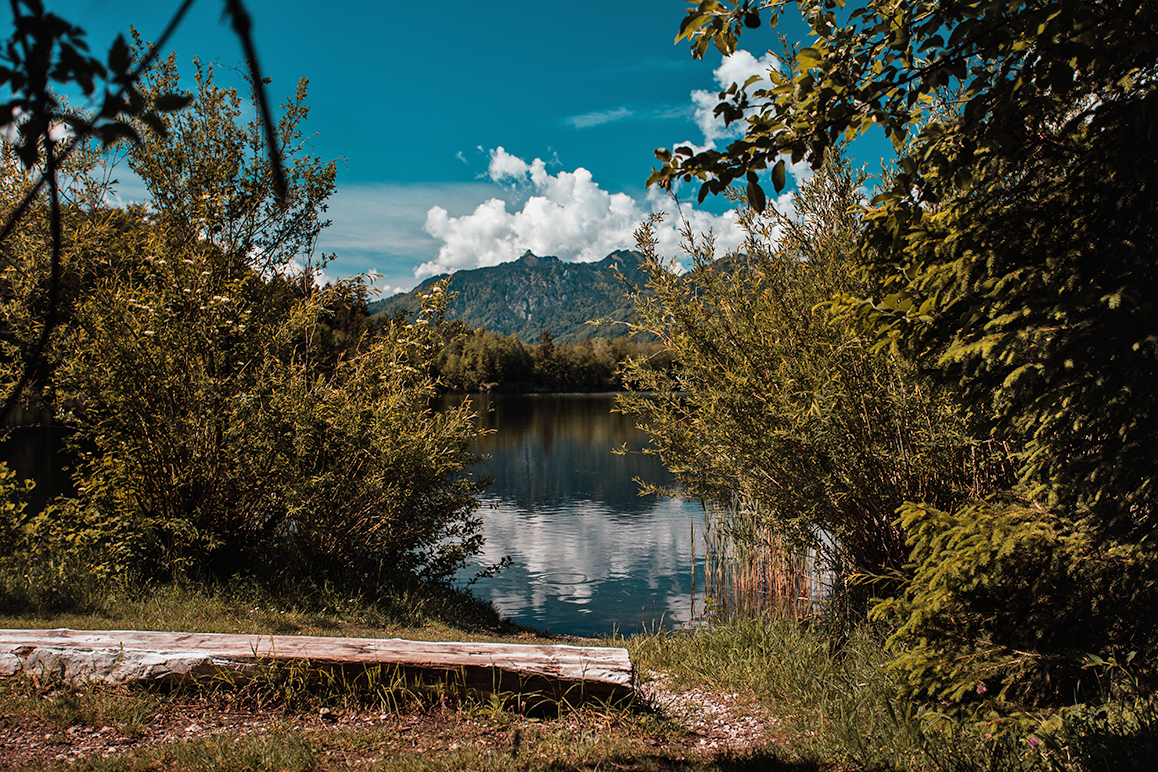 neuer Moosbergsee Murnau